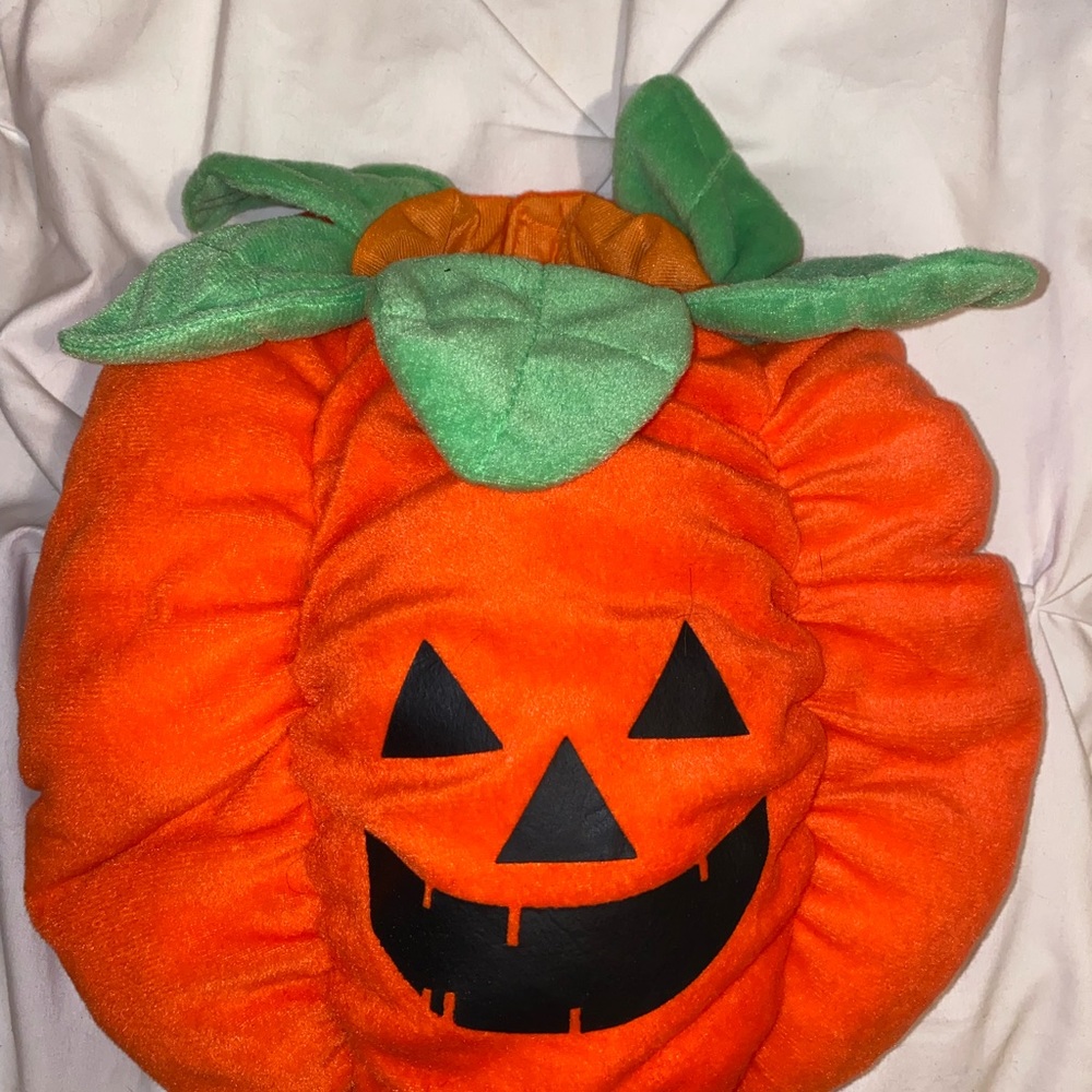 Puppy Halloween costume
